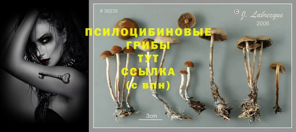 не бодяженный Баксан