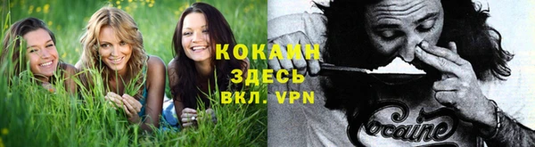 бошки Елизово